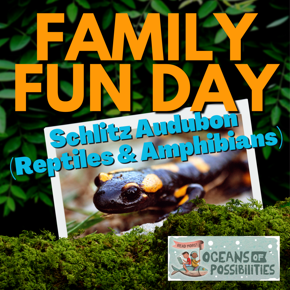 Reptiles & Amphibians